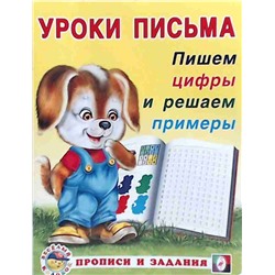 Прописи (ФЛАМИНГО)   (А5) Уроки Письма Пишем цифры и решаем примеры  (0+)