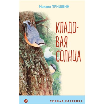 Кладовая солнца (с иллюстрациями)