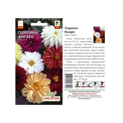 Цв.Георгина Фигаро Смесь махр. (Сем.Алтая) 5шт