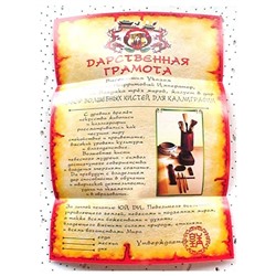 Дарственная Грамота 15 На Успехи в Учебе SH 903055