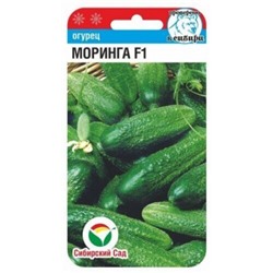 Огурец Моринга F1 (Сиб.сад) 7шт