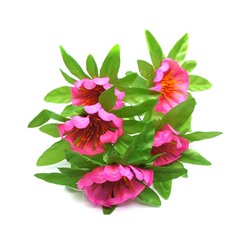 Букет Цинния искусственная 5гол. 34см розовый  0135-28 (вып.по 2шт.)
