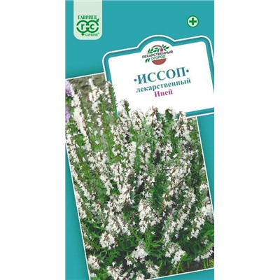 Иссоп Иней (Код: 93398)