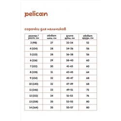Рубашка PELICAN #889917