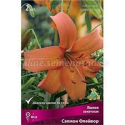 Лилии Сэлмон Флейвор 2шт (Поиск)