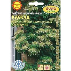 Гортензия Каскад черешковая (Аэлита)