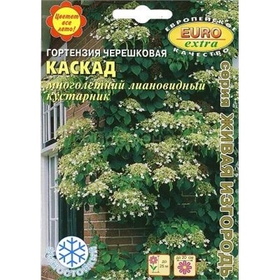 Гортензия Каскад черешковая (Аэлита)
