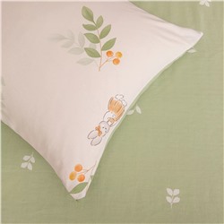 Комплект постельного белья Сатин 100% хлопок C623