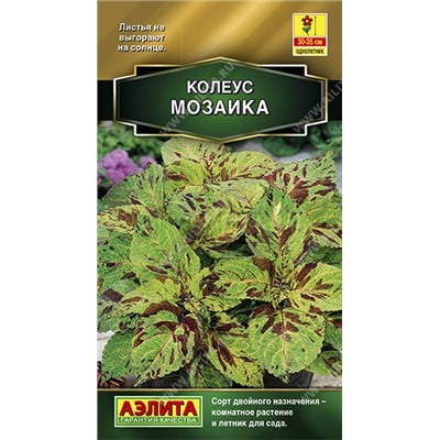 Колеус Мозаика (Аэлита)
