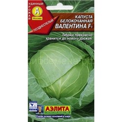 Капуста бк Валентина F1 (Аэлита)