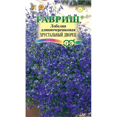 Лобелия Хрустальный дворец (Гавр)