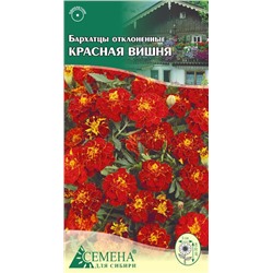 Бархатцы Красная вишня отклоненные, 0,3г (цв.)