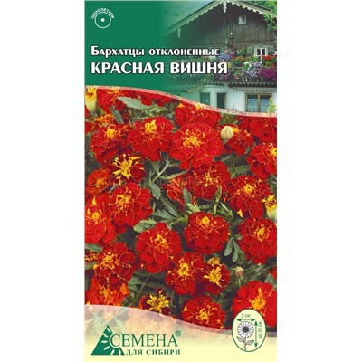 Бархатцы Красная вишня отклоненные, 0,3г (цв.)