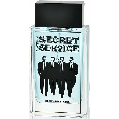 SECRET SERVICE PLATINUM (серый) edc/муж (спрей) M~