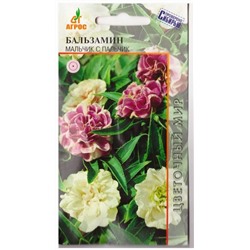 Бальзамин Мальчик-с-пальчик   (Код: 78286)