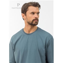 MF-1029 (Футболка мужская, PanteLemone )