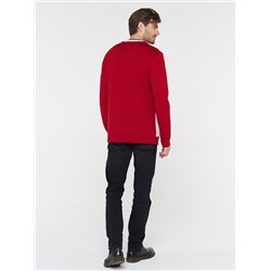 Джемпер мужской 202-12236