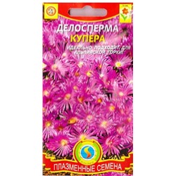 Делосперма Купера (Код: 81865)