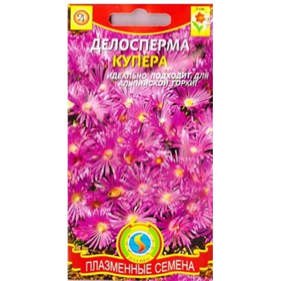 Делосперма Купера (Код: 81865)