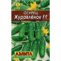 Огурец Журавленок F1 Лидер (Аэлита)
