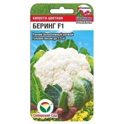 Капуста цв.Беринг F1 (Сиб.сад) 10шт