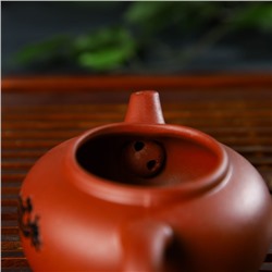 Набор для чайной церемонии керамический «Дракон», 10 предметов: 8 пиал 35 мл, чайник 200 мл, чахай 150 мл, цвет коричневый