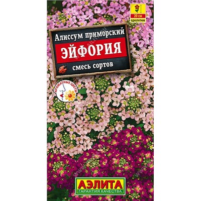 Алиссум Эйфория смесь (Аэлита)