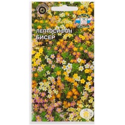 Лептосифон Бисер (Код: 76856)