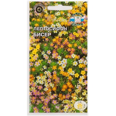 Лептосифон Бисер (Код: 76856)