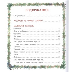 Уценка. Лев Толстой: Маленькие рассказы