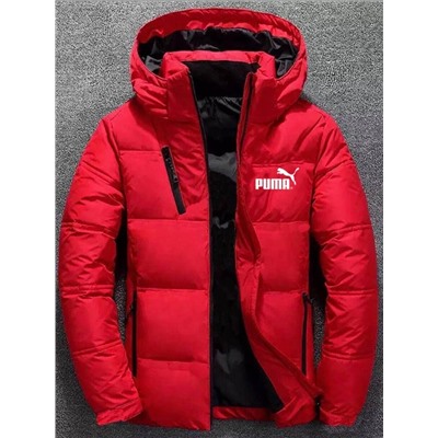Куртка Осень-Зима 890066