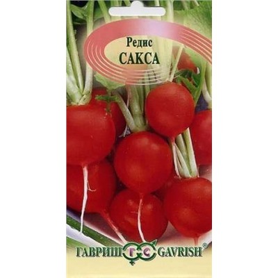 Редис Сакса (Гавриш) 2г