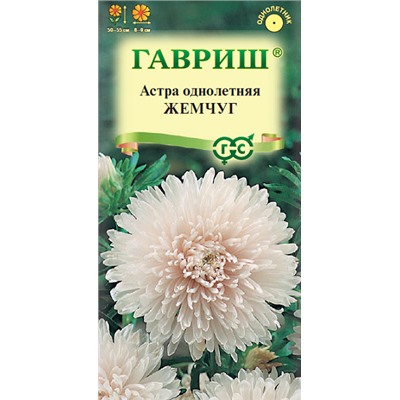 Астра Жемчуг (Код: 92724)