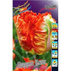 Тюльпан Пэррот Кинг 8шт (ИС)