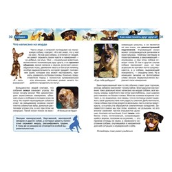 Собаки. Детская энциклопедия Росмэн