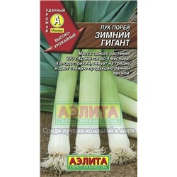 Лук Порей Зимний гигант (Аэлита) 1г