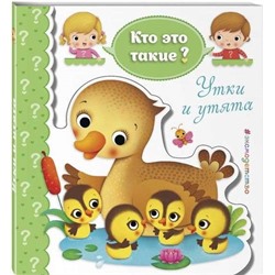 Утки и утята