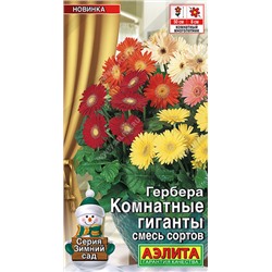 Гербера Комнатные Гиганты Аэлита