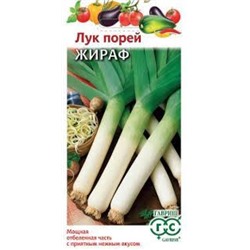Лук Порей Жираф (Гавриш) 0,2гр