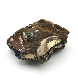 Коллекционный аммонит 58*45*24мм, 72г (T)