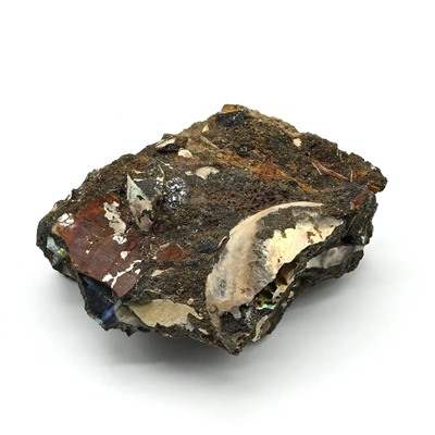 Коллекционный аммонит 58*45*24мм, 72г (T)