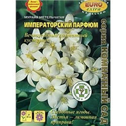 Мурайя Императорский парфюм метельчатая (Аэлита)