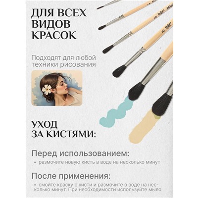 Набор кистей белка 60920