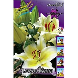 Лилии Анаис Анаис 5шт (ИС) вост