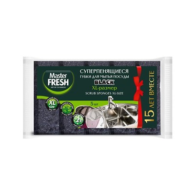 Губки д/посуды MASTER FRESH XL Bubble-поролон  5шт. BLACK