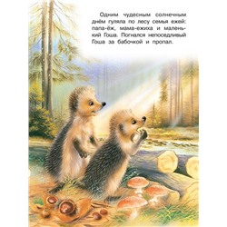 Кн. Истории со смыслом.  Лесной переполох 16 цветн.стр. 26*20см  30667
