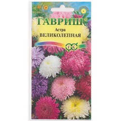 Астра Великолепная смесь (Код: 71798)