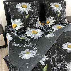 Постельное белье Шуйская бязь Черная ромашка 9204-1