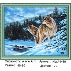 AM45 HWA4460, 40х50 см