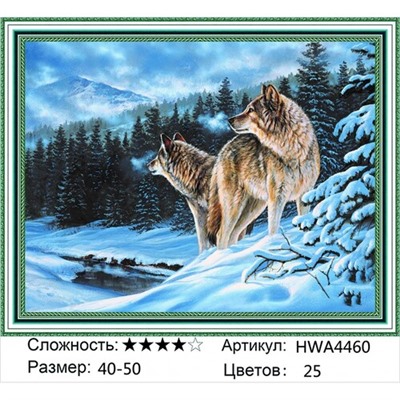 AM45 HWA4460, 40х50 см